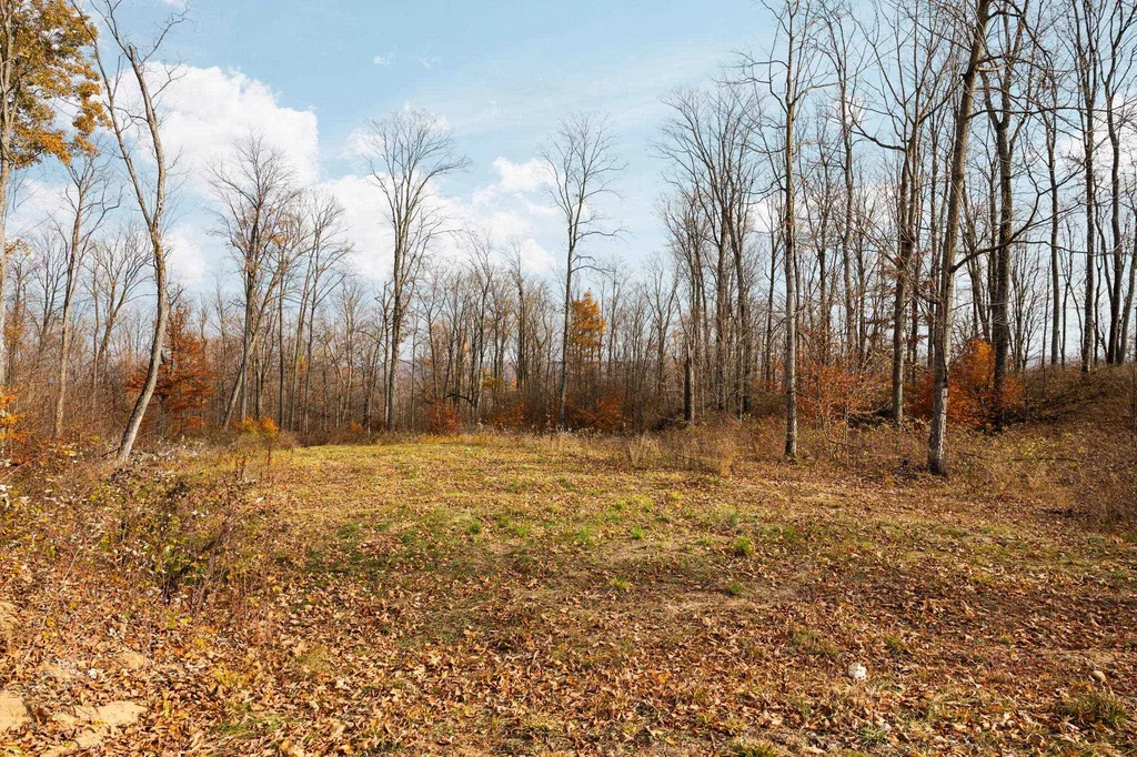 10550 S Cedar Road Solon Township MI 49621