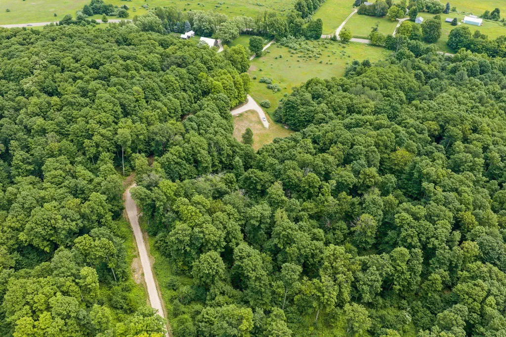 10550 S Cedar Road Solon Township MI 49621