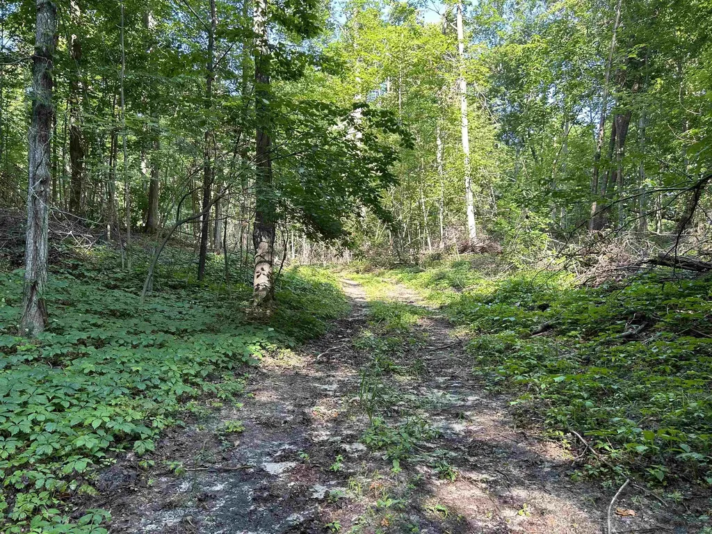 1010 Sharkey Road East Bay Township MI 49696