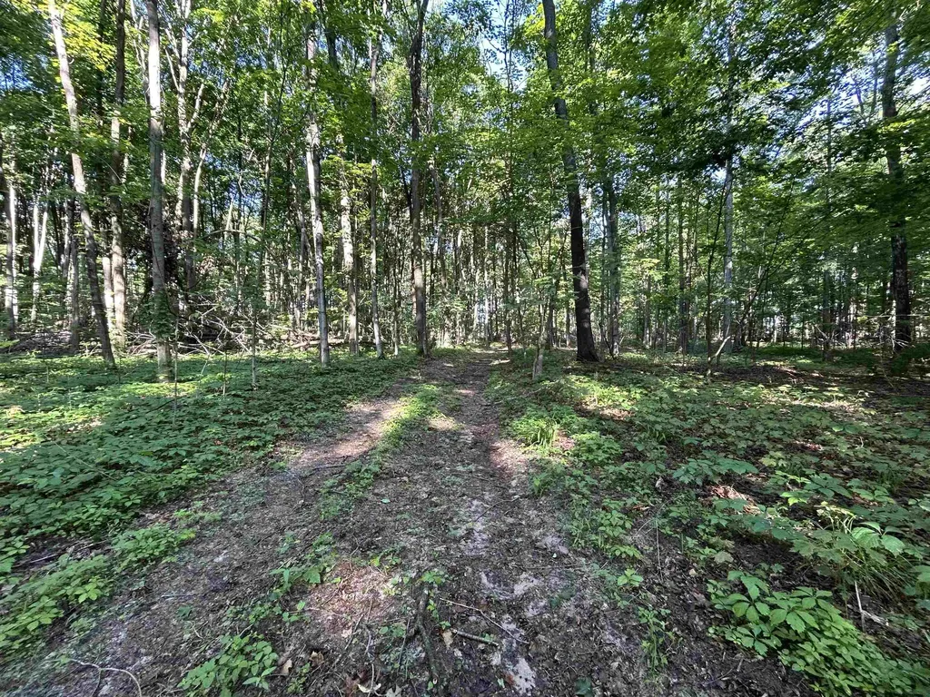 1010 Sharkey Road East Bay Township MI 49696
