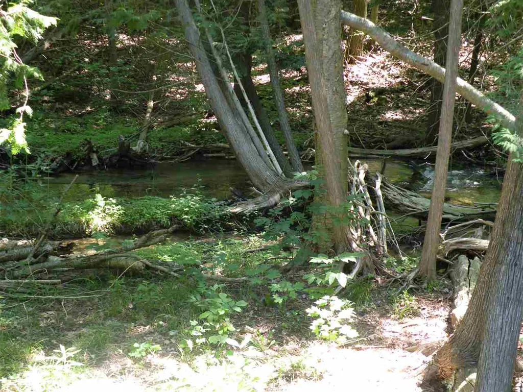 6493 Deer Path Custer Township MI 49615