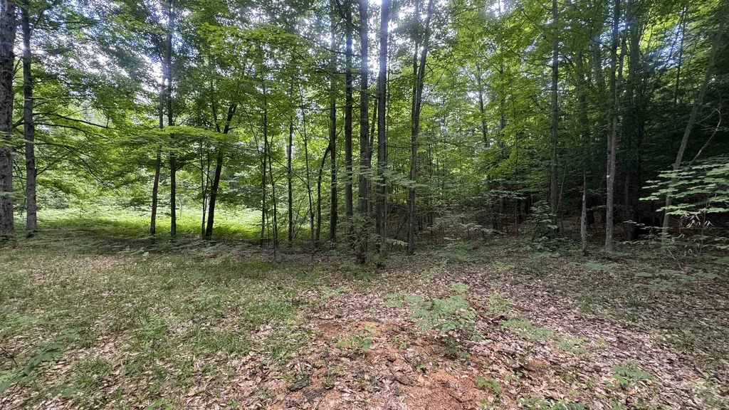 00 V/l S 35 Road Selma Township MI 49601
