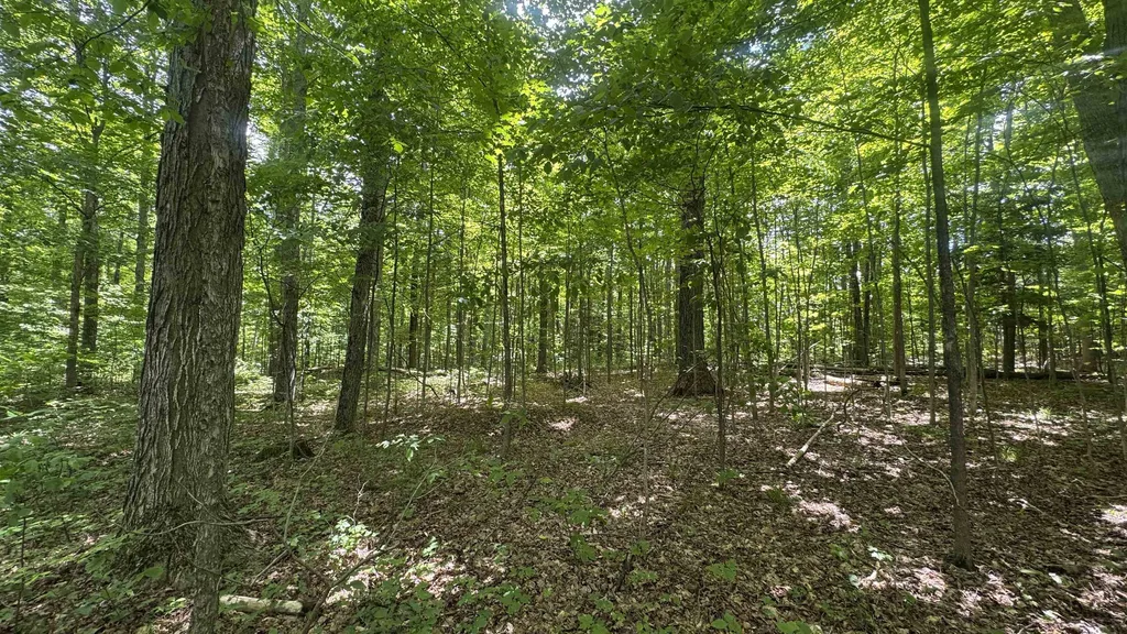 00 V/l S 35 Road Selma Township MI 49601