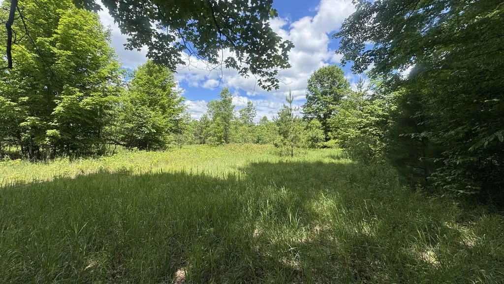 00 V/l S 35 Road Selma Township MI 49601