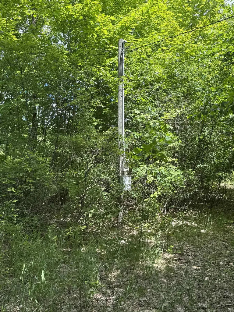 00 V/l S 35 Road Selma Township MI 49601