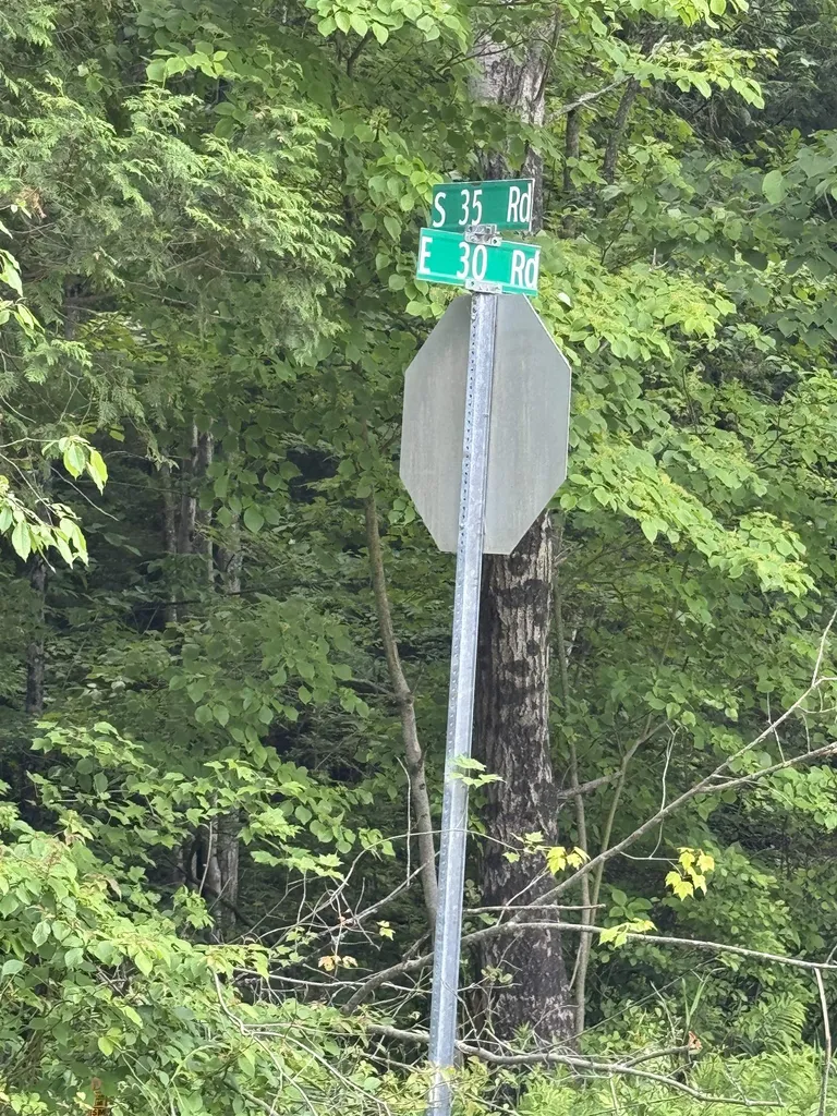00 V/l S 35 Road Selma Township MI 49601