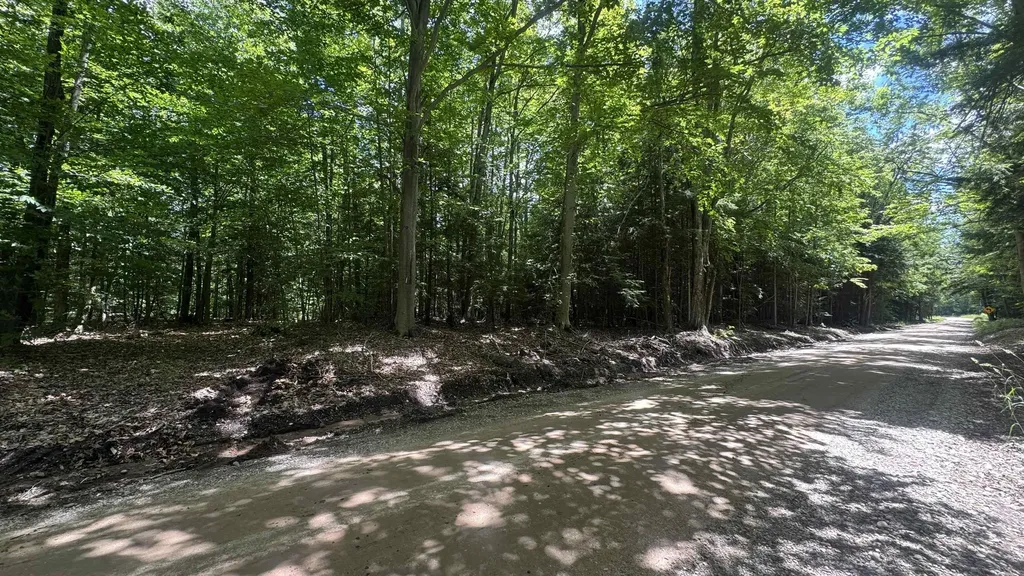 00 V/l S 35 Road Selma Township MI 49601