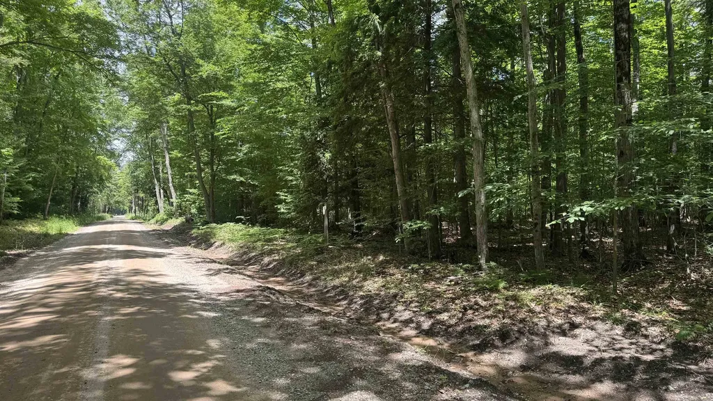 00 V/l S 35 Road Selma Township MI 49601