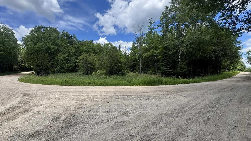 00 V/l S 35 Road Selma Township MI 49601