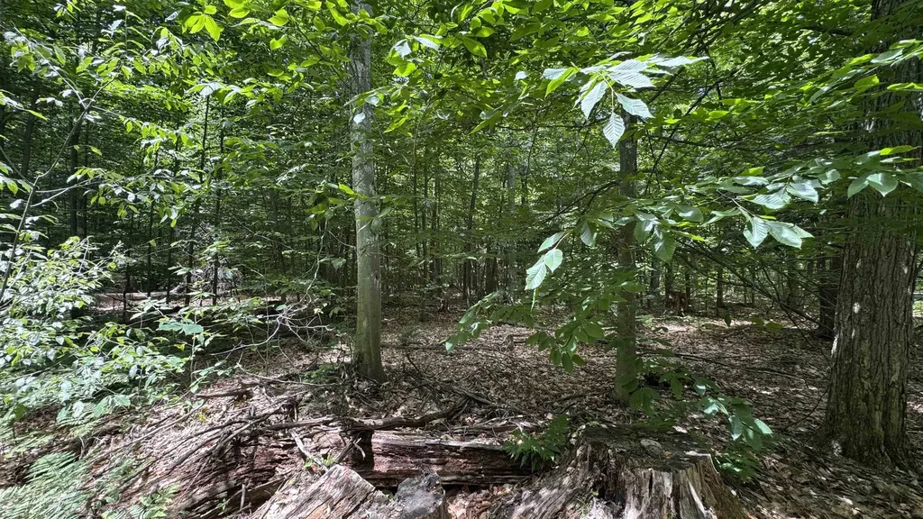 00 V/l S 35 Road Selma Township MI 49601