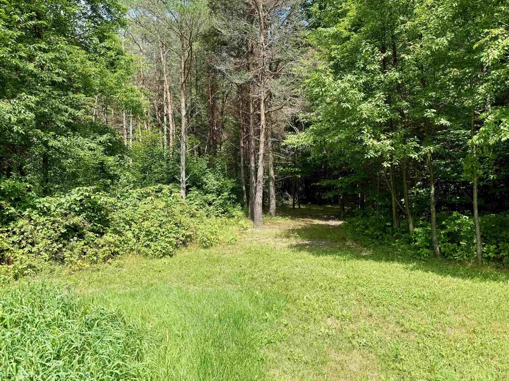 2035/2085 S 33 1/2 Road Selma Township MI 49601