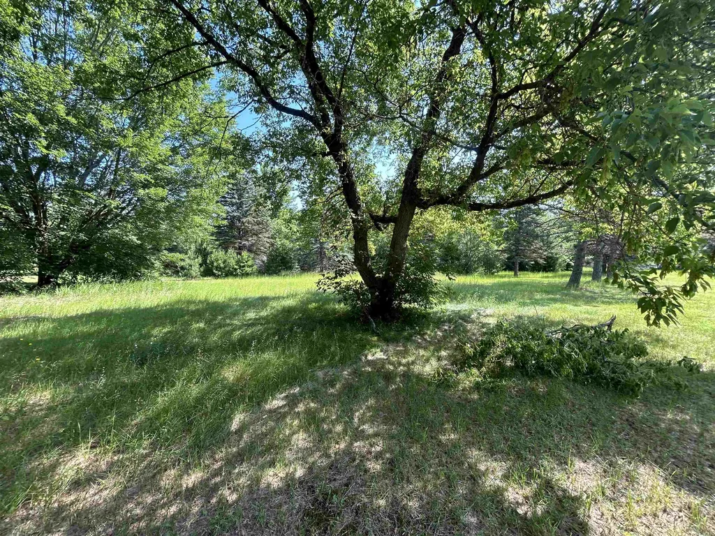 4513 Croy Lake Road, NE Coldsprings Township MI 49659
