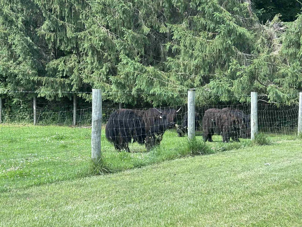 4513 Croy Lake Road, NE Coldsprings Township MI 49659