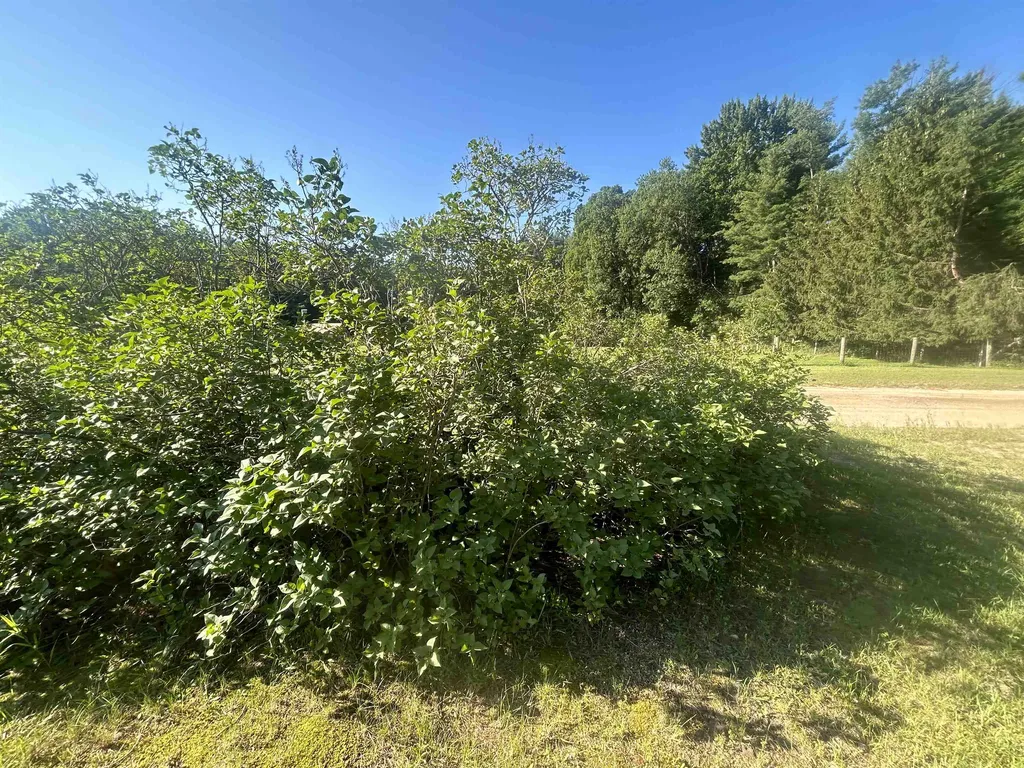 4513 Croy Lake Road, NE Coldsprings Township MI 49659