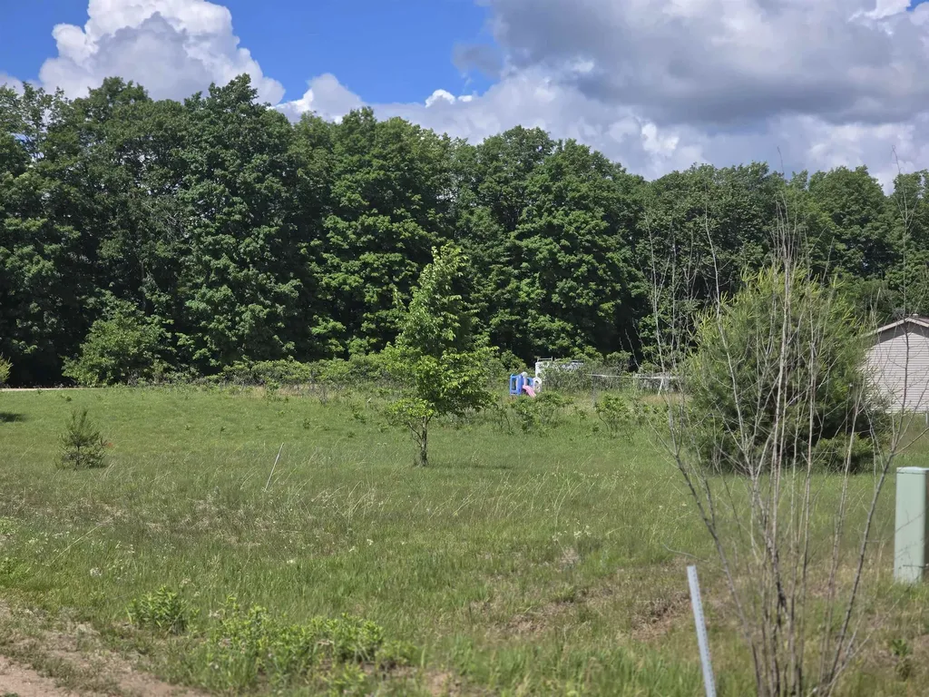 Kay Road Guthrie Road Hanover Township MI 49668