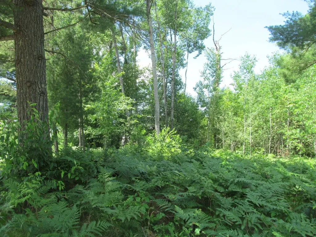 Lot 63 White Pine Drive Cherry Grove Township MI 49601
