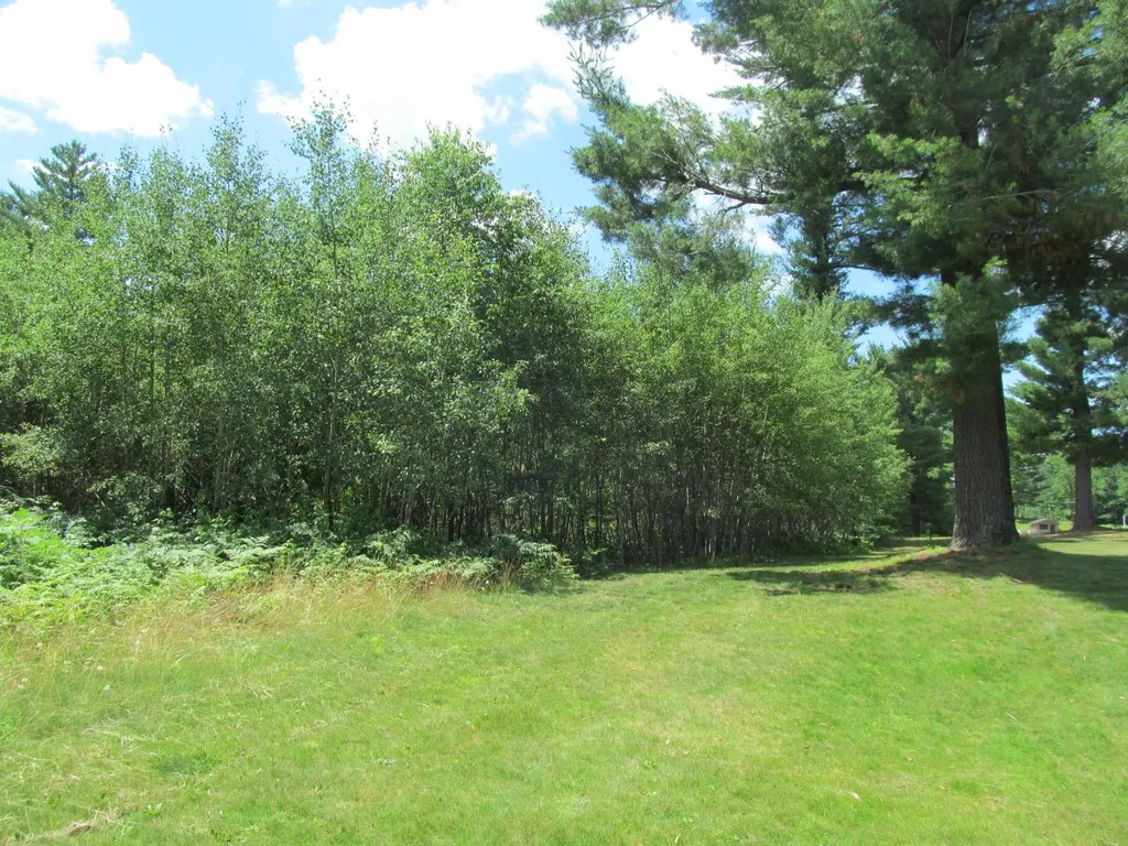 Lot 63 White Pine Drive Cherry Grove Township MI 49601