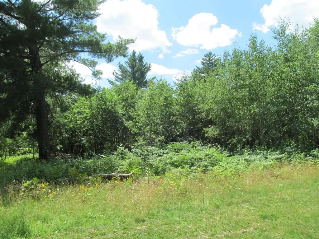 Lot 63 White Pine Drive Cherry Grove Township MI 49601