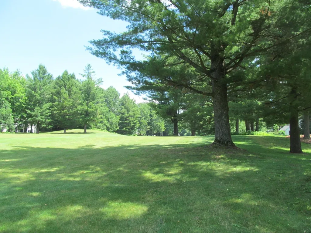 Lot 63 White Pine Drive Cherry Grove Township MI 49601