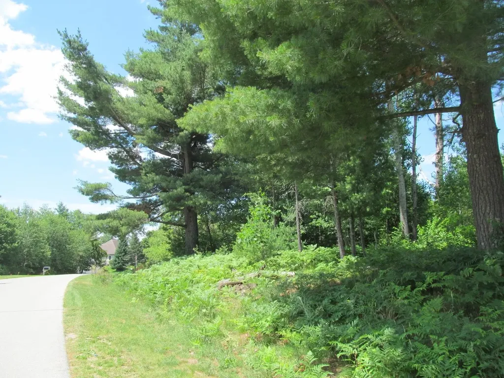Lot 63 White Pine Drive Cherry Grove Township MI 49601