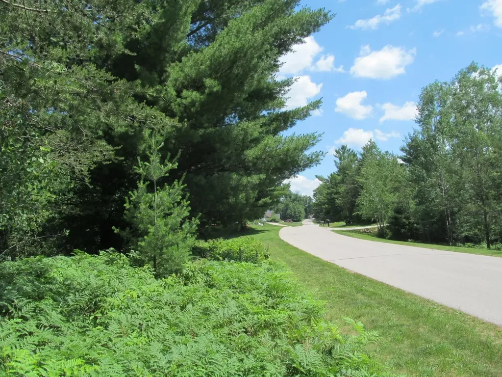 Lot 63 White Pine Drive Cherry Grove Township MI 49601