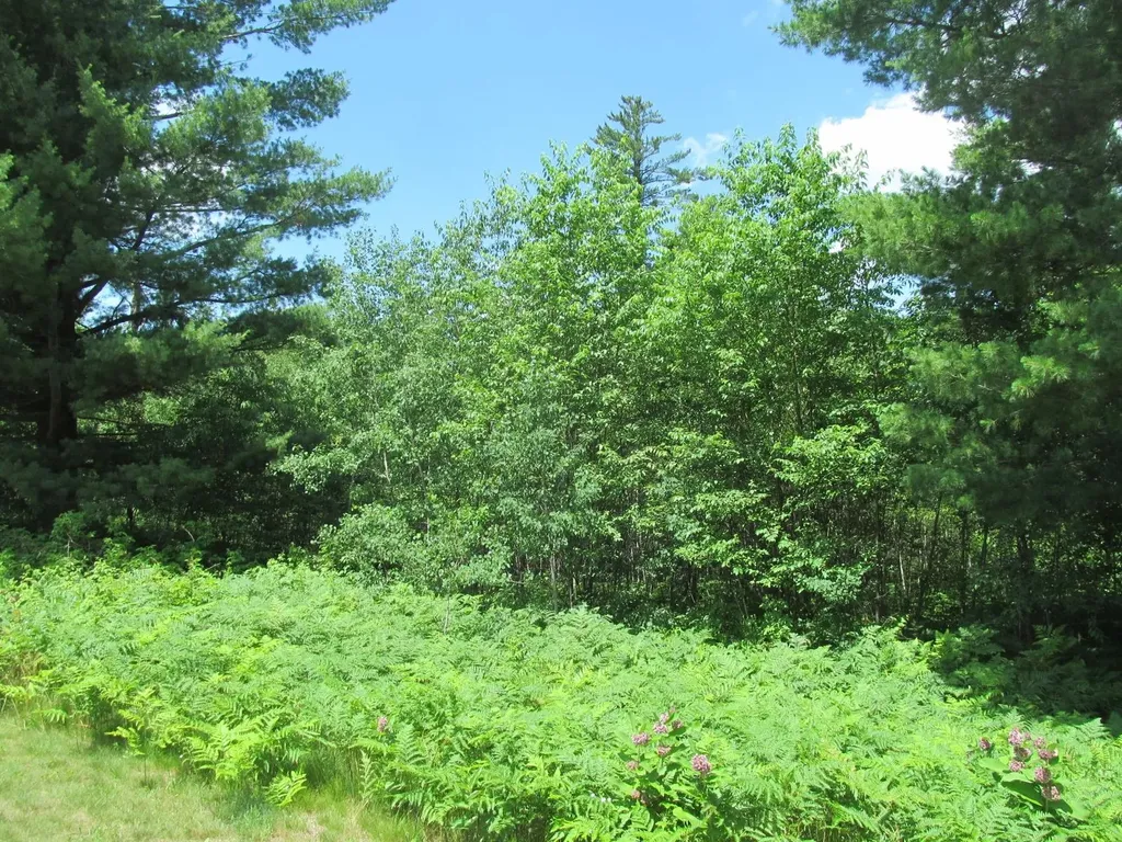 Lot 63 White Pine Drive Cherry Grove Township MI 49601