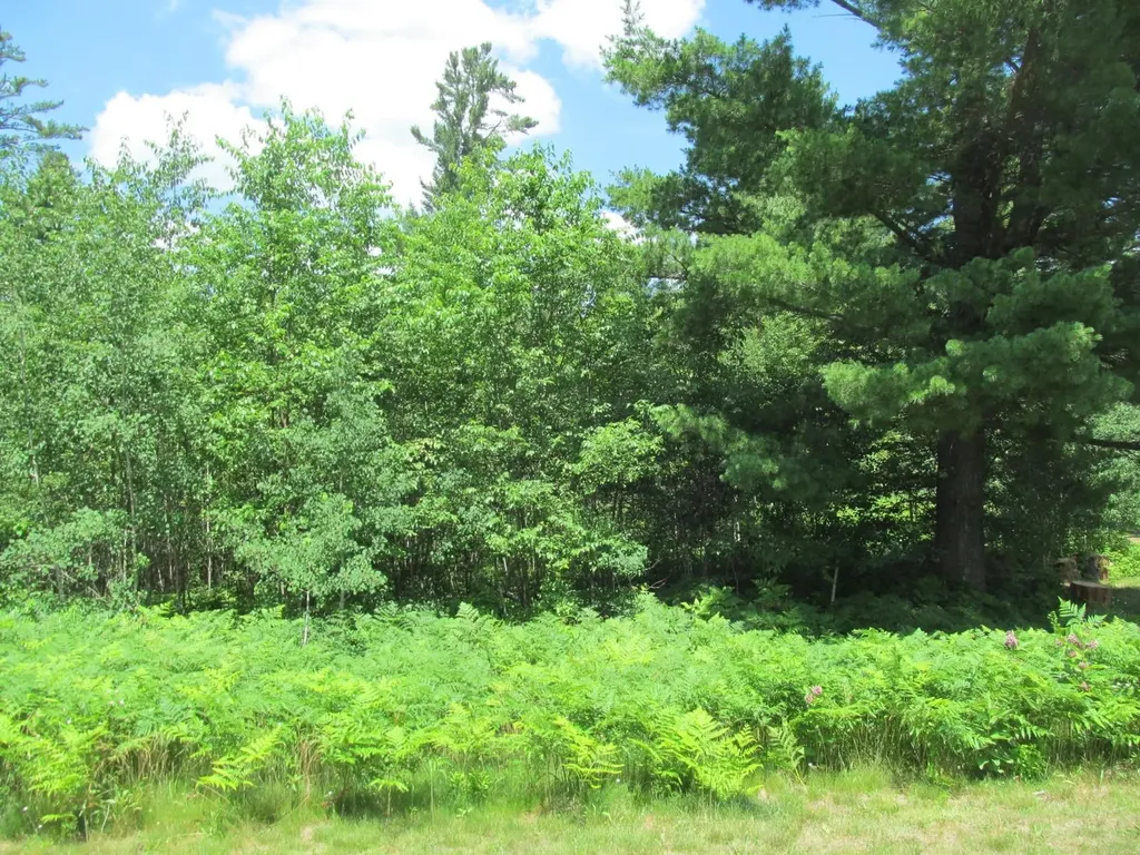 Lot 63 White Pine Drive Cherry Grove Township MI 49601