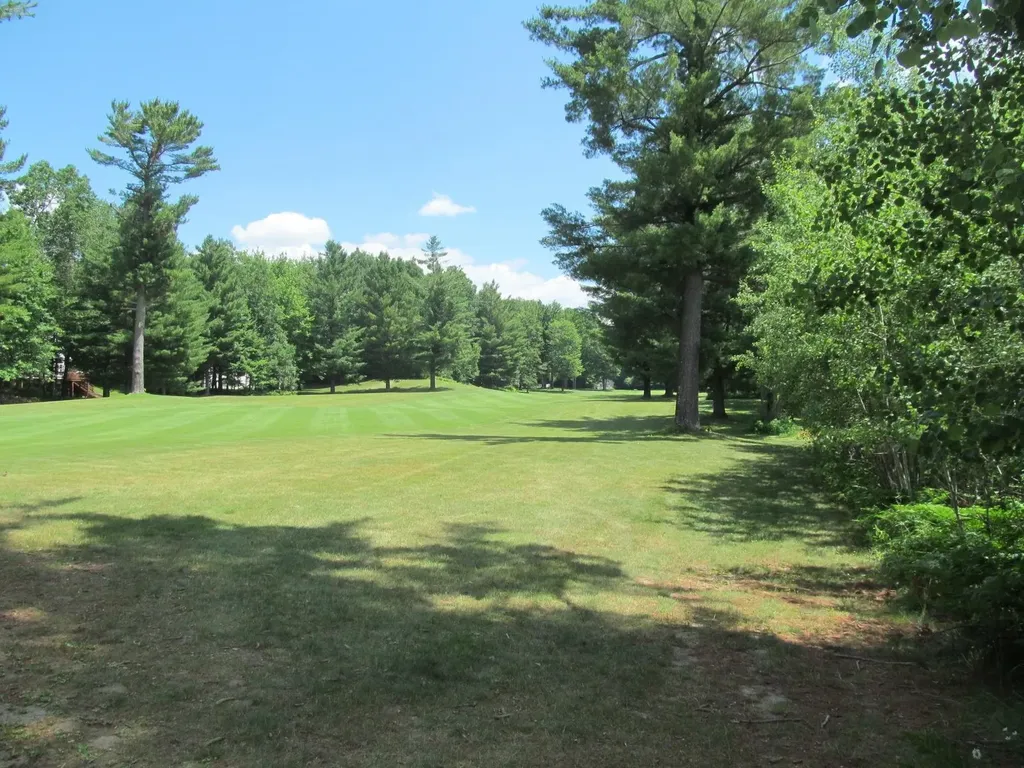 Lot 63 White Pine Drive Cherry Grove Township MI 49601