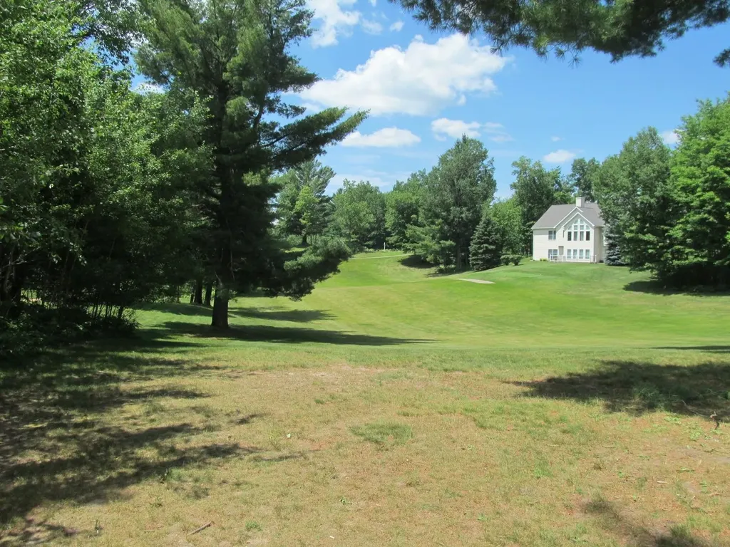 Lot 63 White Pine Drive Cherry Grove Township MI 49601