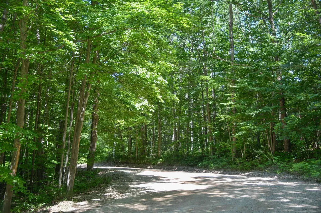 1877 Pinehurst Trail East Bay Township MI 49696