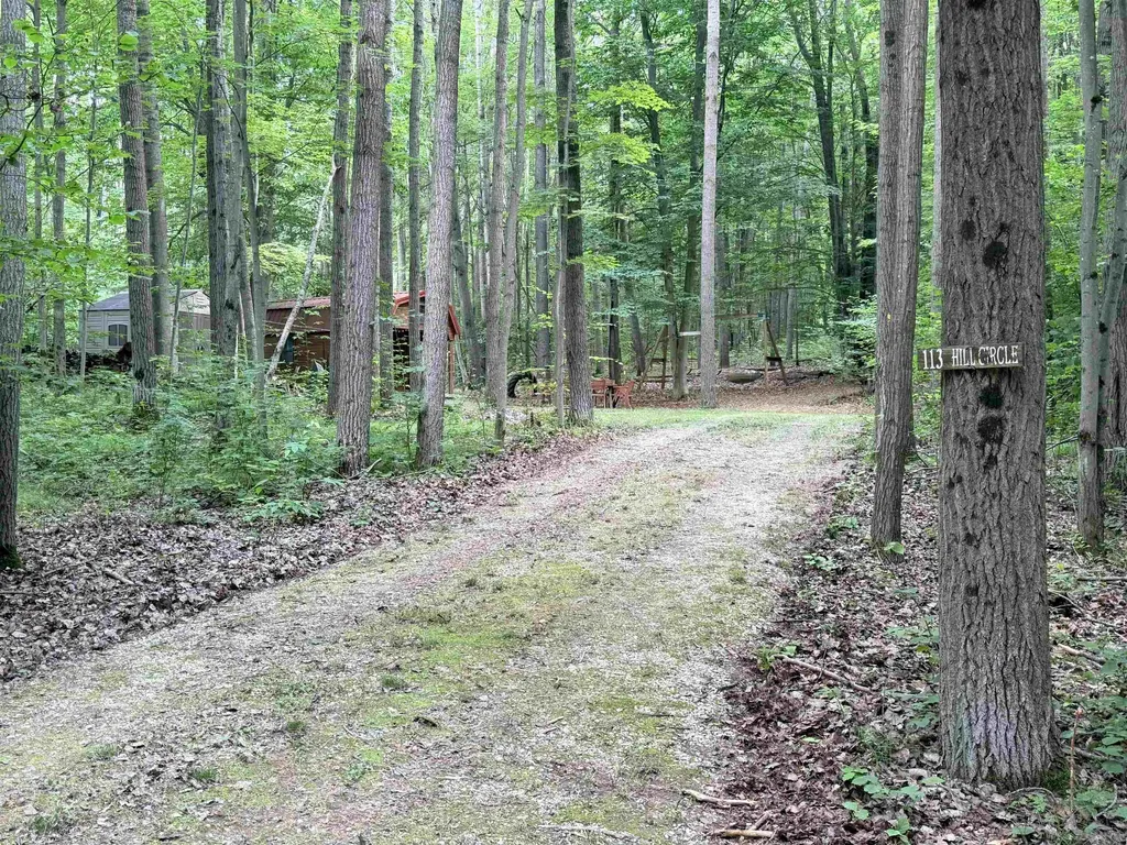 113 Hills Circle Rose Lake Township MI 49655