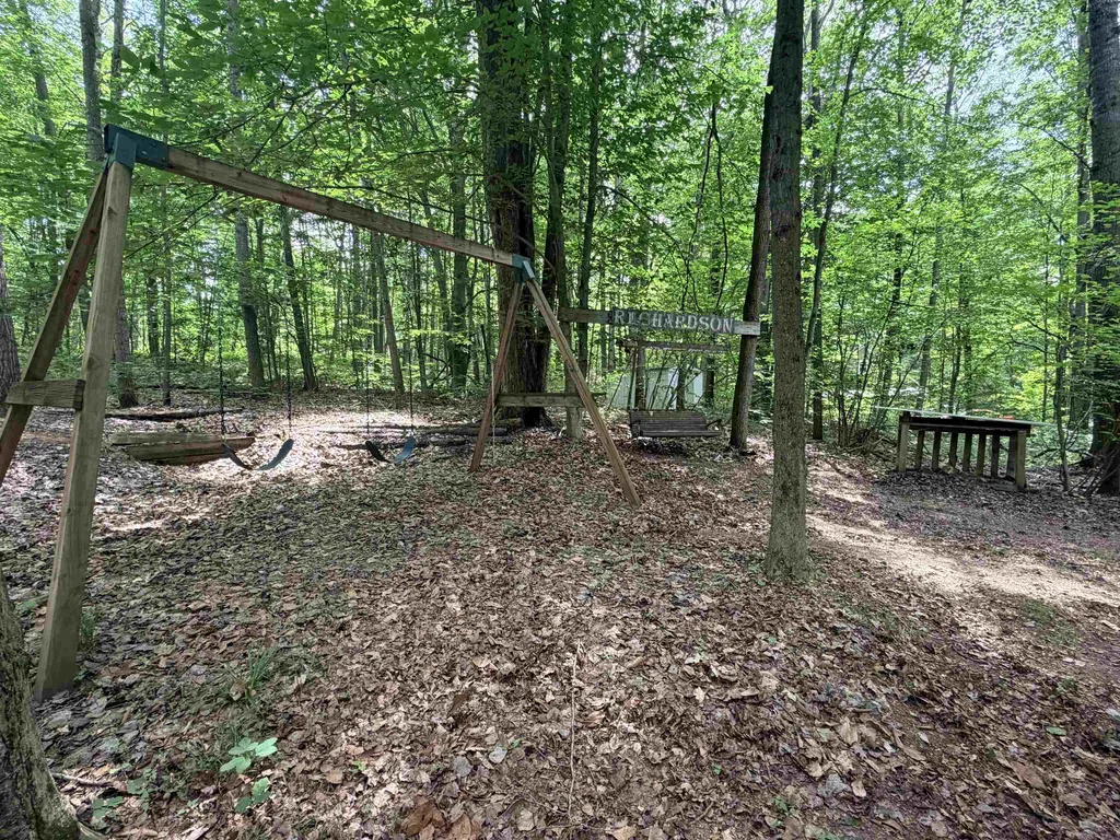 113 Hills Circle Rose Lake Township MI 49655