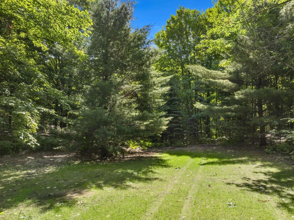 9378 E Summerfield Drive Elmwood Charter Township MI 49684