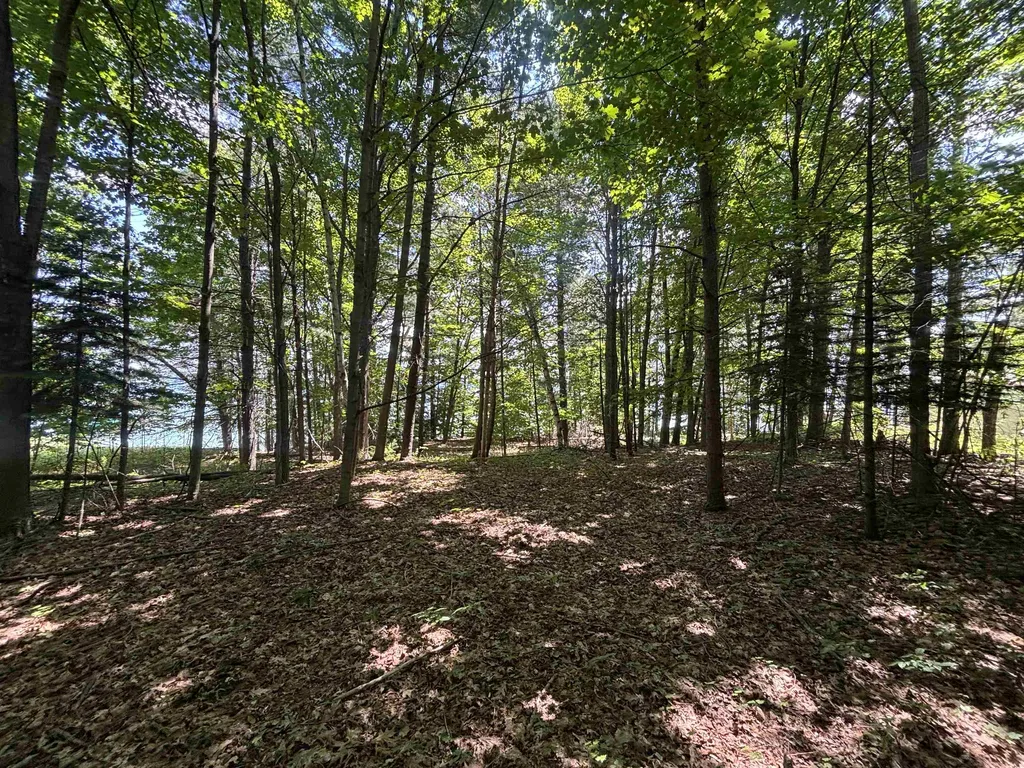 0 Torch Lake Drive, SW Milton Township MI 49676