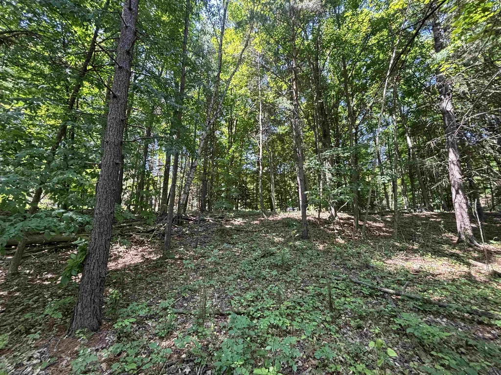 0 Torch Lake Drive, SW Milton Township MI 49676