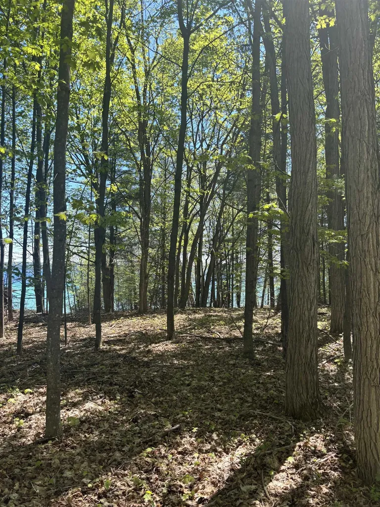 0 Torch Lake Drive, SW Milton Township MI 49676