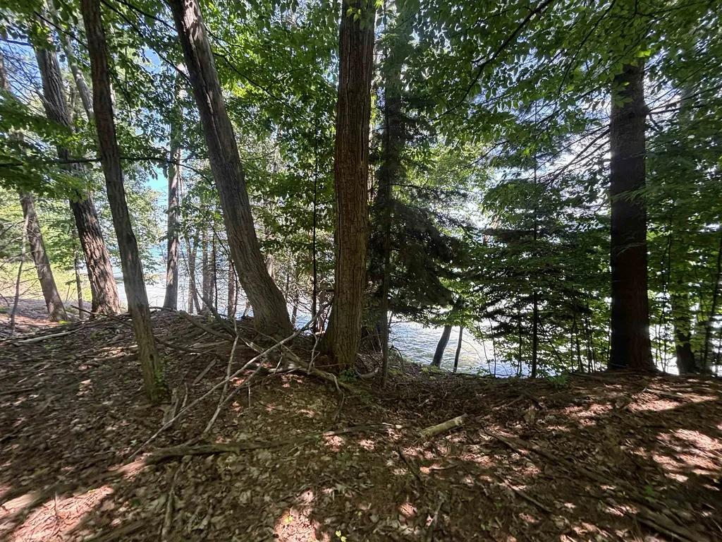0 Torch Lake Drive, SW Milton Township MI 49676