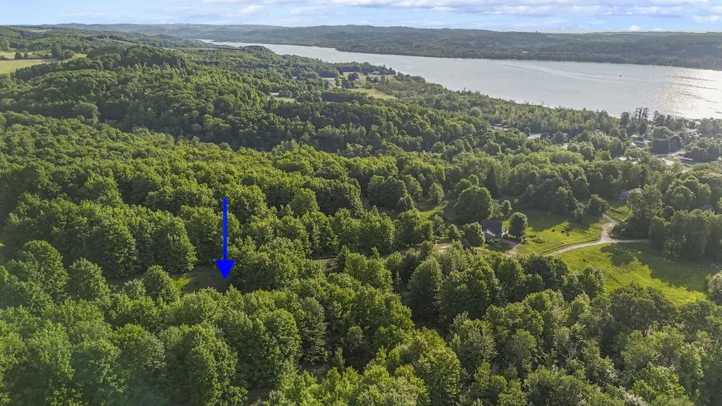 6244 E Pine Knobb Drive Centerville Township MI 49653