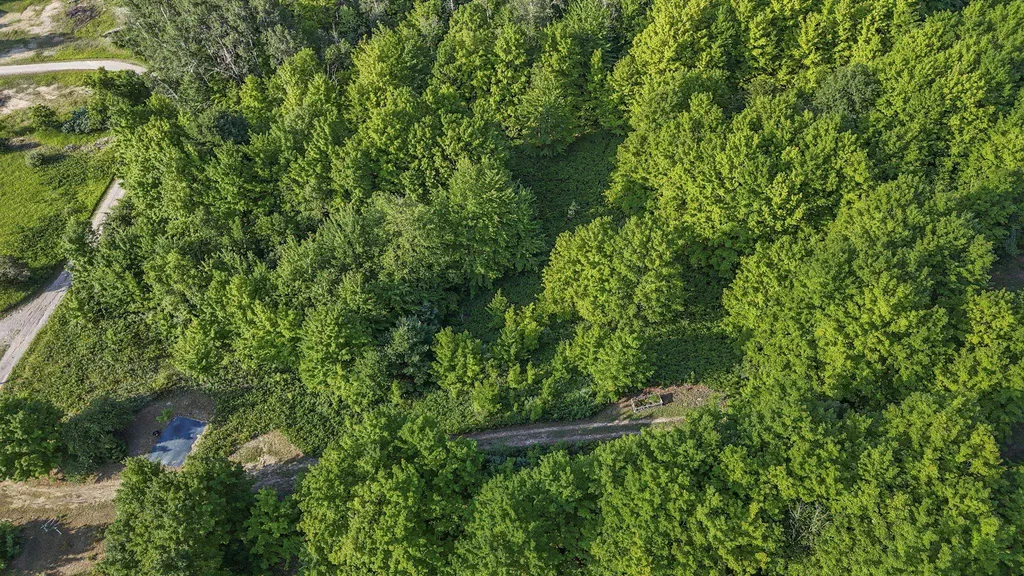 6244 E Pine Knobb Drive Centerville Township MI 49653