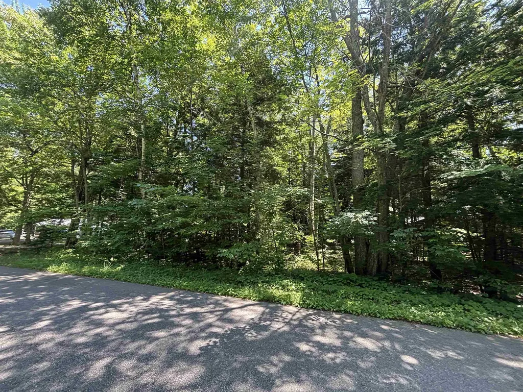 0 Timber Lake Drive Elk Rapids Township MI 49629