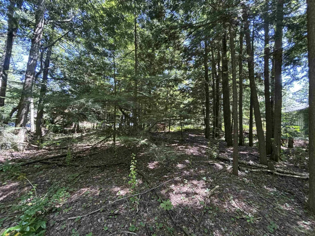 0 Timber Lake Drive Elk Rapids Township MI 49629