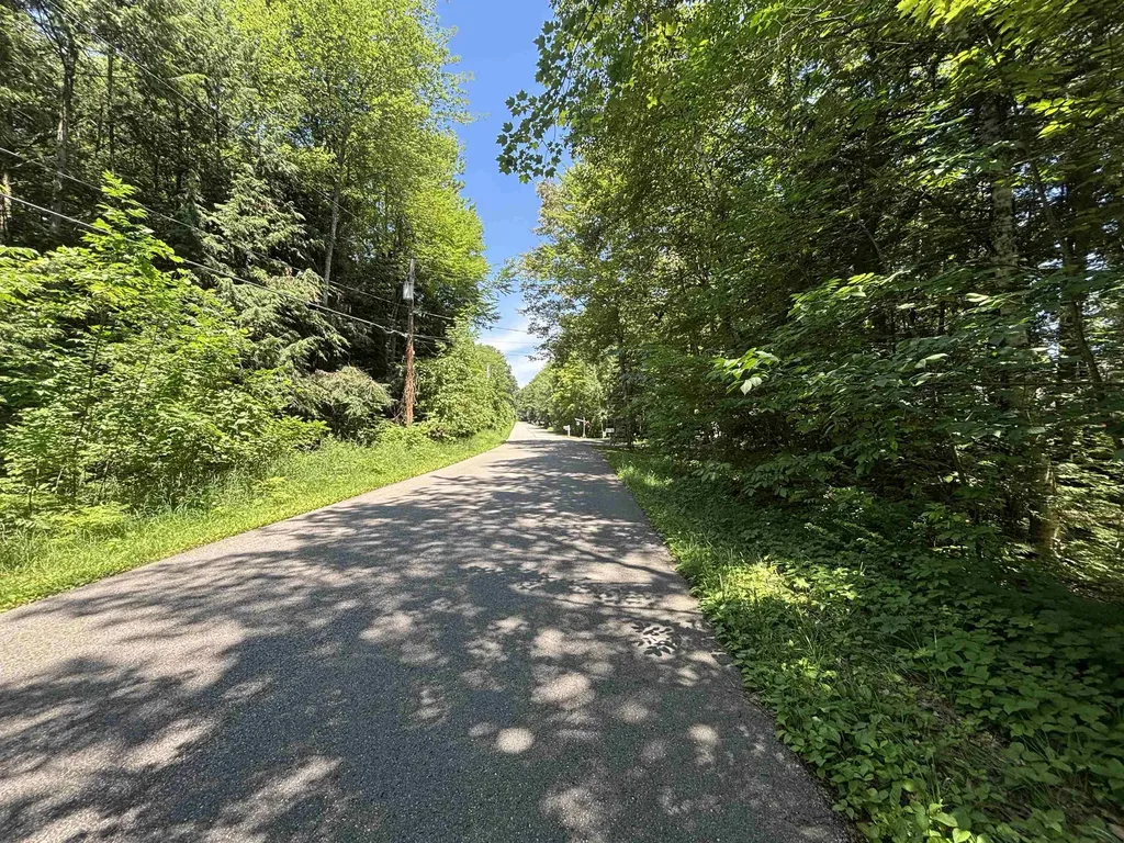 0 Timber Lake Drive Elk Rapids Township MI 49629