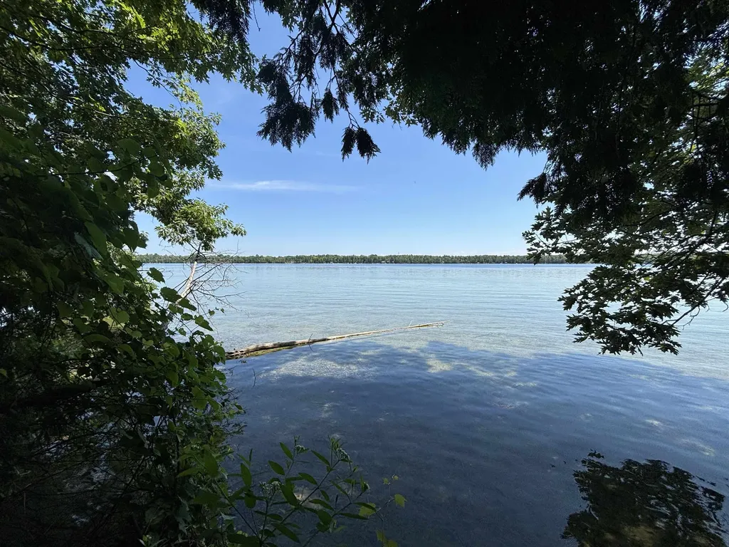 0 Timber Lake Drive Elk Rapids Township MI 49629