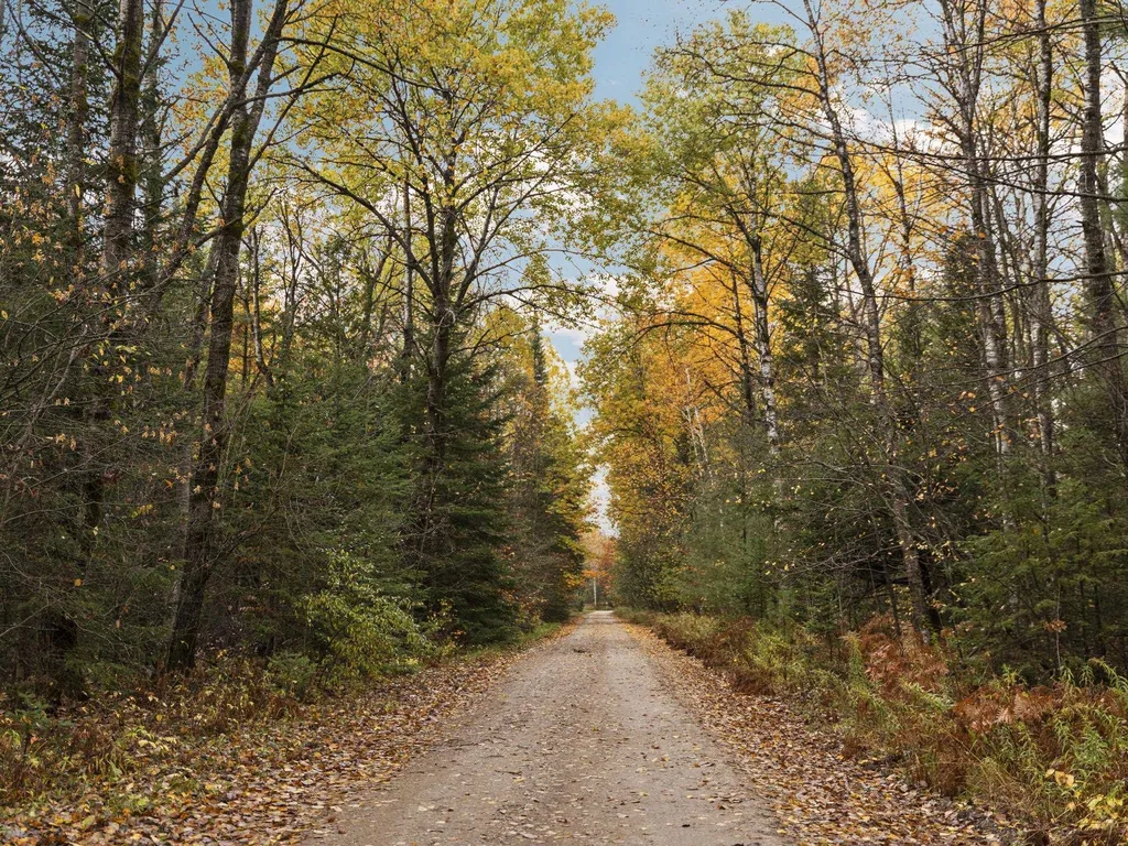 B Irvin Road Mayfield Township MI 49649