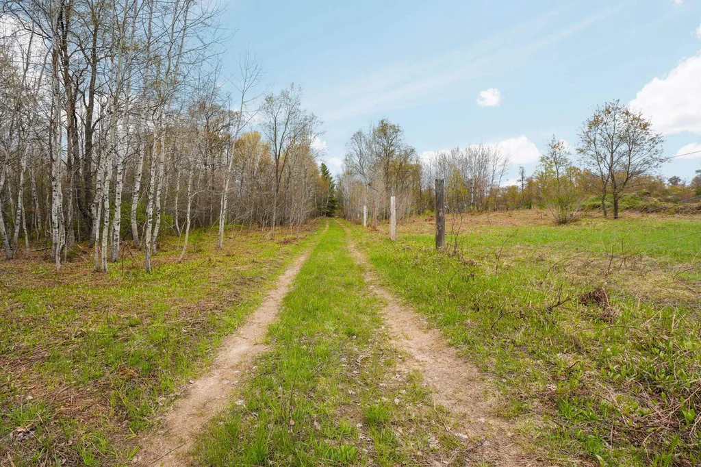 A Irvin Road Mayfield Township MI 49649