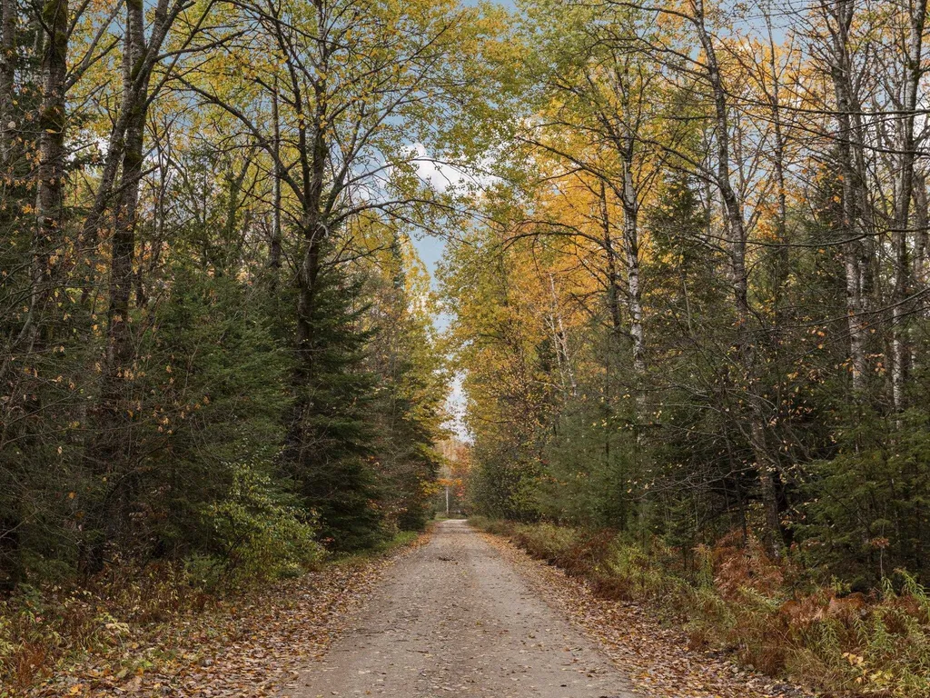 A Irvin Road Mayfield Township MI 49649