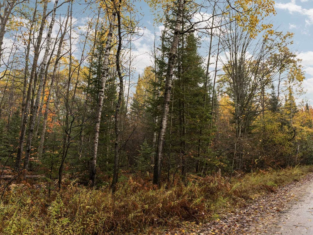 A Irvin Road Mayfield Township MI 49649