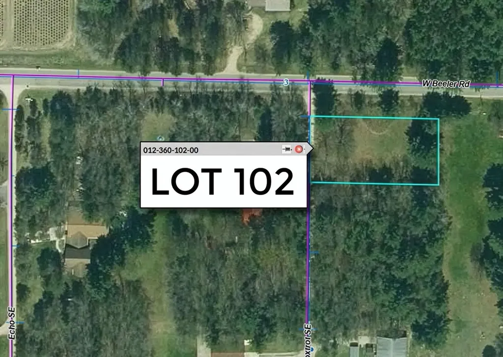 Taxiway Foxtrot Reeder Township MI 49651