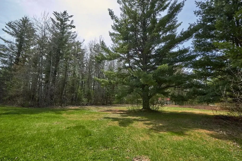Taxiway Foxtrot Reeder Township MI 49651