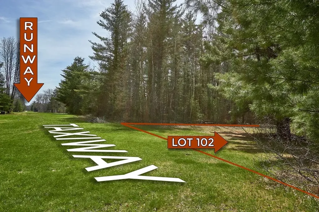 Taxiway Foxtrot Reeder Township MI 49651